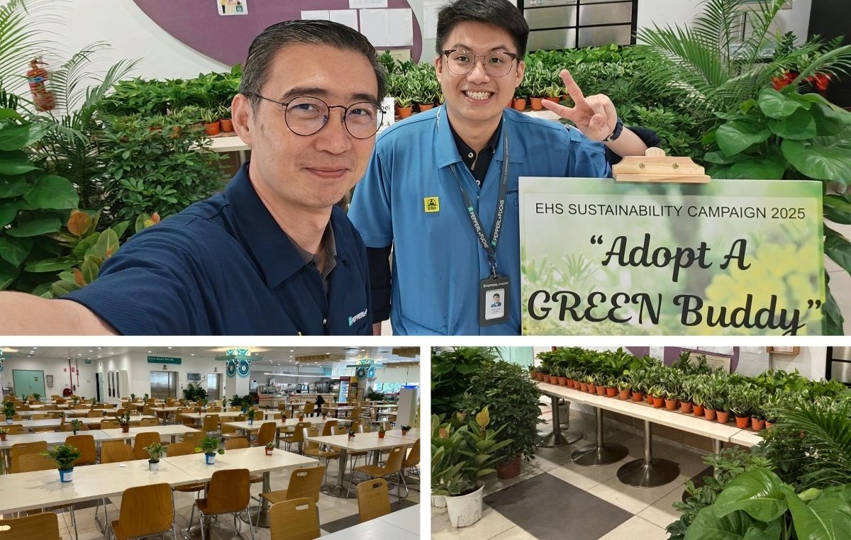 “Green friends“ in good hands